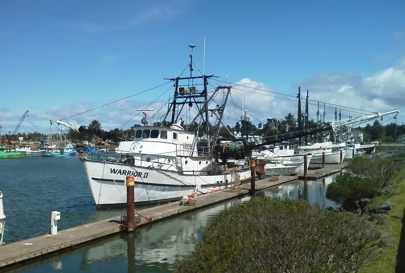 WARRIOR II General Cargo IMO 7338195 photo 6