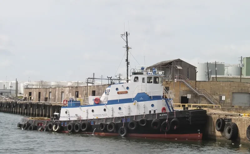 MARS General Cargo IMO 7338327 photo 5