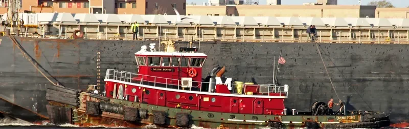 DRUM POINT General Cargo IMO 7338353 photo 10