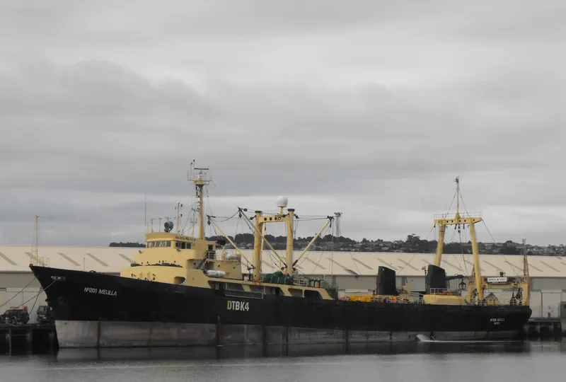 NO.201 MELILLA General Cargo IMO 7338559 photo 4