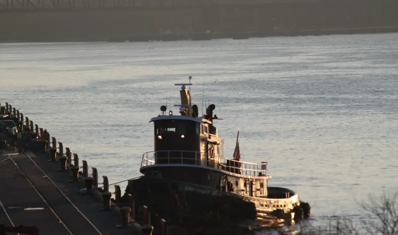 BART TURECAMO General Cargo IMO 7338808 photo 9
