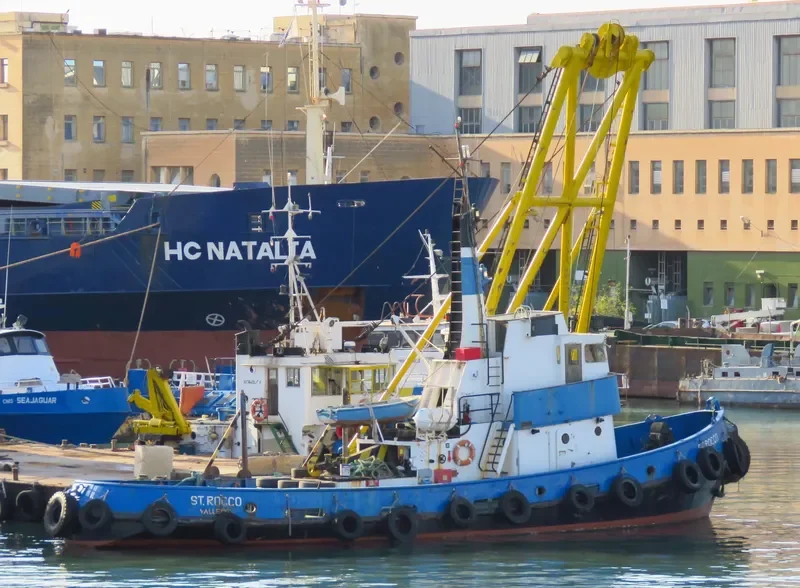 ZOLLA General Cargo IMO 7338810
