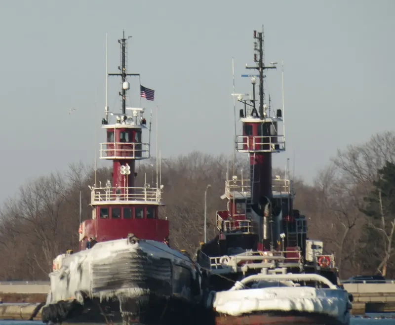 COLLEEN MCALLISTER General Cargo IMO 7338872 photo 4