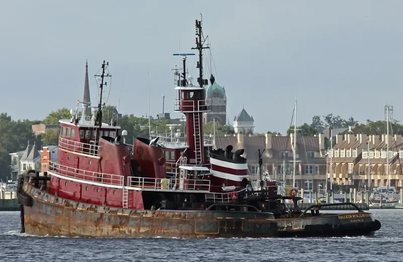 COLLEEN MCALLISTER General Cargo IMO 7338872 photo 9