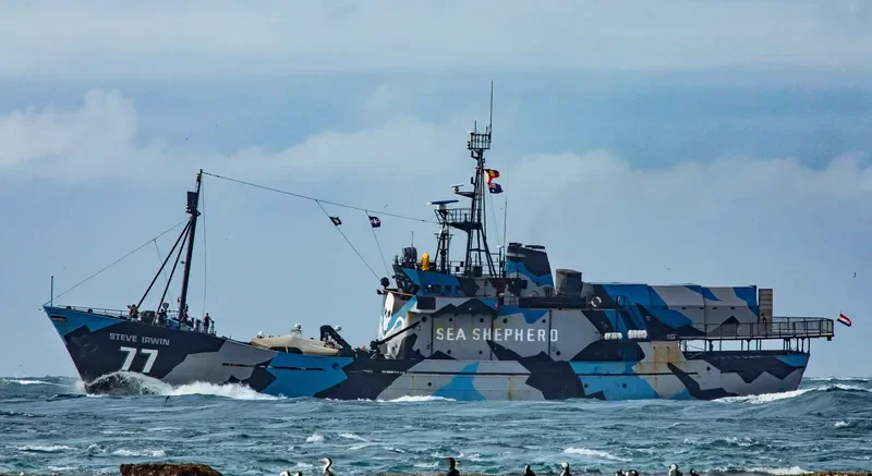 STEVE IRWIN General Cargo IMO 7340370 photo 3
