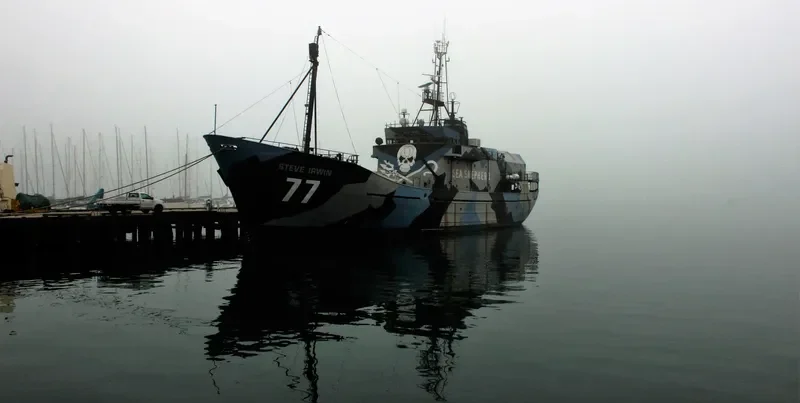 STEVE IRWIN General Cargo IMO 7340370 photo 5