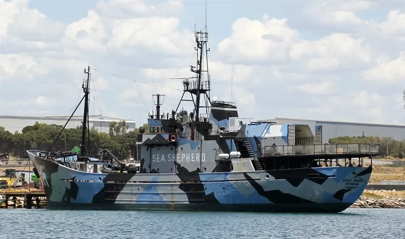 STEVE IRWIN General Cargo IMO 7340370 photo 6