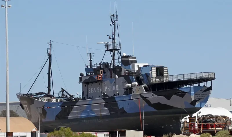 STEVE IRWIN General Cargo IMO 7340370 photo 7