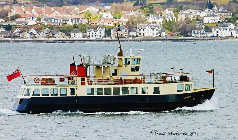CRUISER Passenger Ship IMO 7341049 photo 9