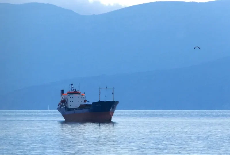 RAKAN M General Cargo IMO 7341685 photo 6