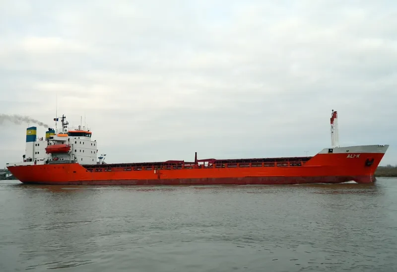ALI K Bulk Carrier IMO 7341702 photo 2