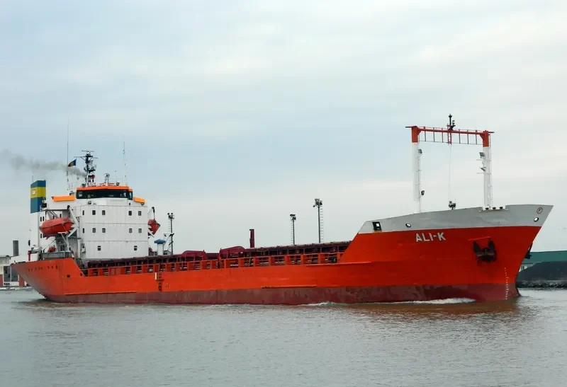 ALI K Bulk Carrier IMO 7341702 photo 3