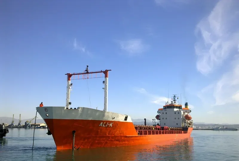 ALI K Bulk Carrier IMO 7341702 photo 5