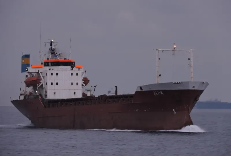 ALI K Bulk Carrier IMO 7341702 photo 9