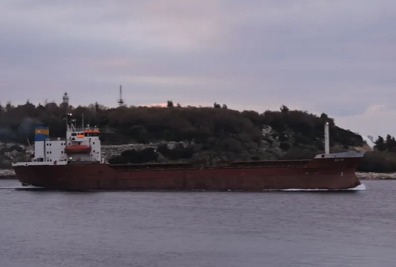 ALI K Bulk Carrier IMO 7341702 photo 10