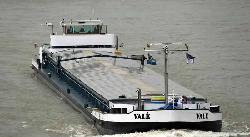 VALE General Cargo IMO 7341764