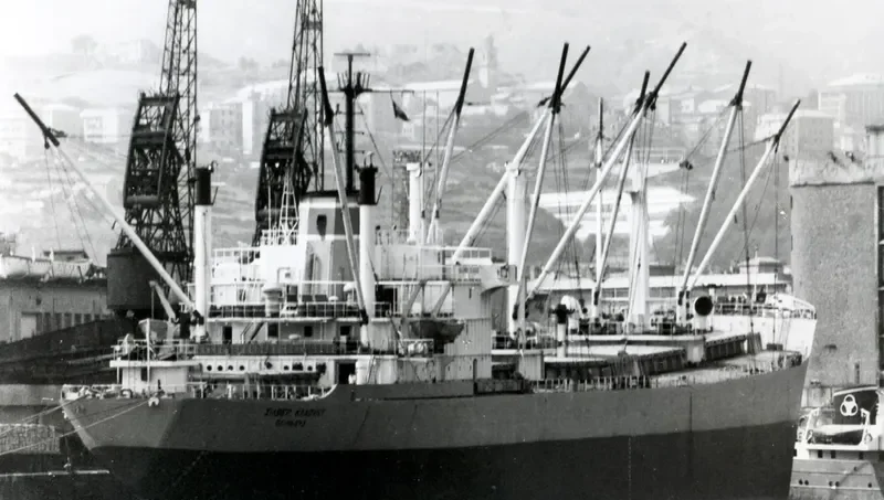 VALE General Cargo IMO 7341764 photo 5