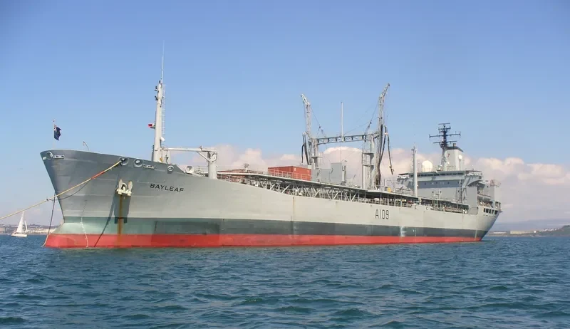 BAYLEAF General Cargo IMO 7342031 photo 2
