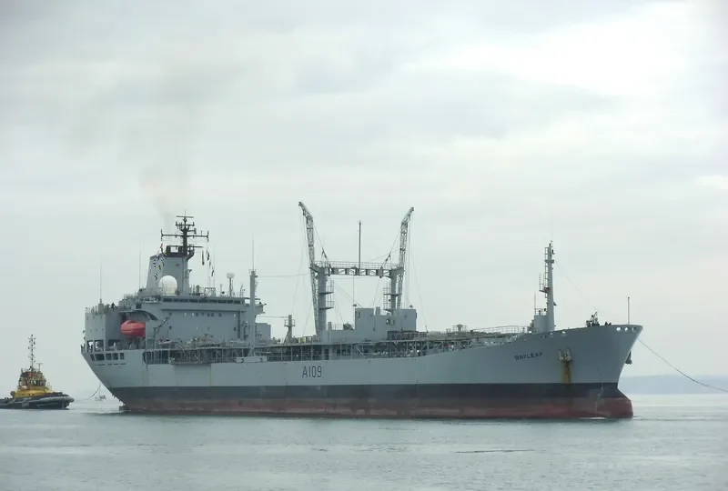 BAYLEAF General Cargo IMO 7342031 photo 4