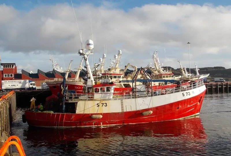 TEA ROSE General Cargo IMO 7342055