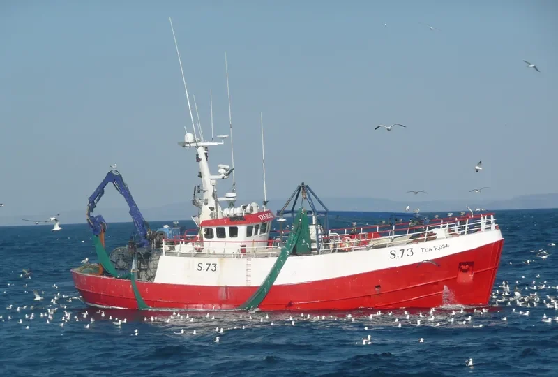 TEA ROSE General Cargo IMO 7342055 photo 2