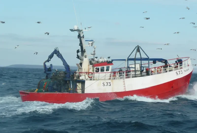 TEA ROSE General Cargo IMO 7342055 photo 3