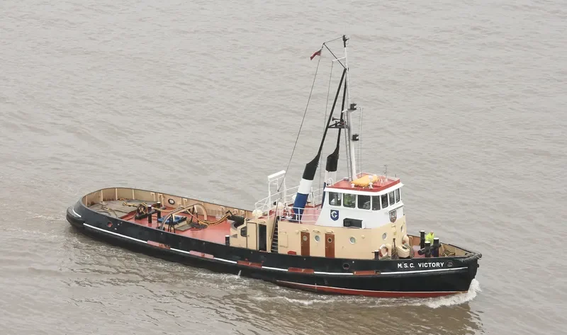 C.VICTORY General Cargo IMO 7342158 photo 10