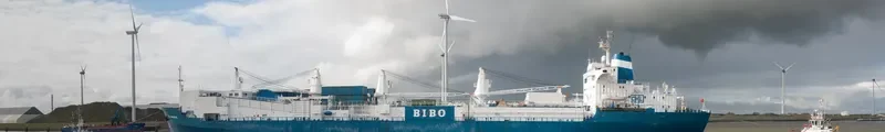 CHL INNOVATOR General Cargo IMO 7342469 photo 8