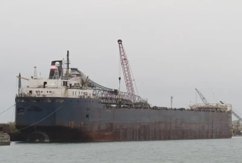 ALGOSOO Bulk Carrier IMO 7343619 photo 2