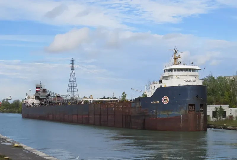 ALGOSOO Bulk Carrier IMO 7343619 photo 3