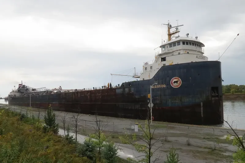 ALGOSOO Bulk Carrier IMO 7343619 photo 5