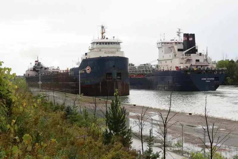 ALGOSOO Bulk Carrier IMO 7343619 photo 6
