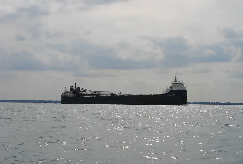 ALGOSOO Bulk Carrier IMO 7343619 photo 8