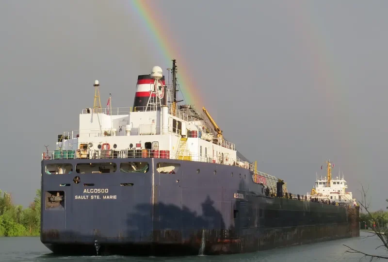 ALGOSOO Bulk Carrier IMO 7343619 photo 10