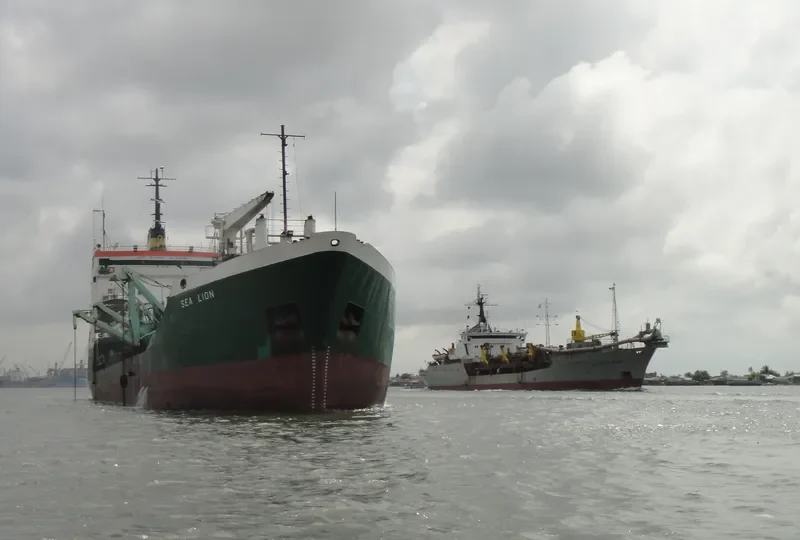 SEA LION General Cargo IMO 7346336 photo 3