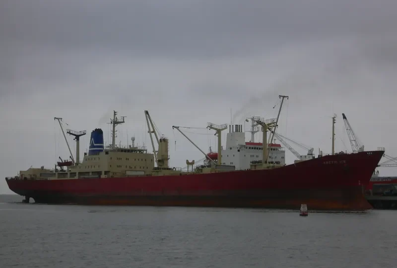 ARCTIC ICE General Cargo IMO 7346855 photo 2