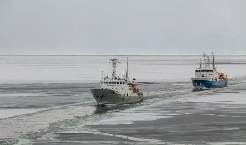 SERGEY KRAVKOV General Cargo IMO 7347378
