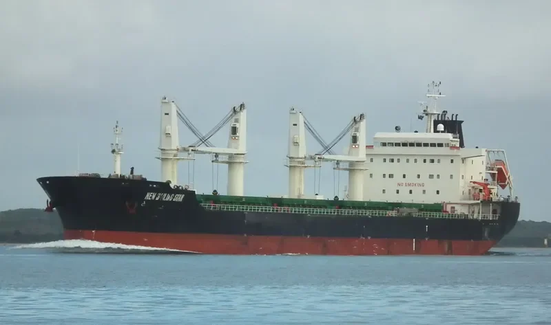 MSC FEDERICA Container Ship IMO 7347512 photo 5