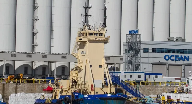 MEGA General Cargo IMO 7347641 photo 3