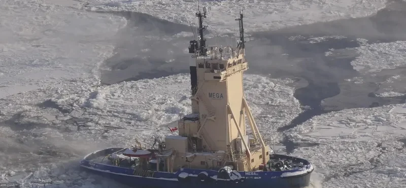 MEGA General Cargo IMO 7347641 photo 4