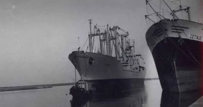 BALTIK General Cargo IMO 7348853
