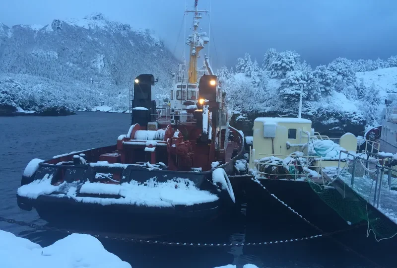 FLINK General Cargo IMO 7349091 photo 7