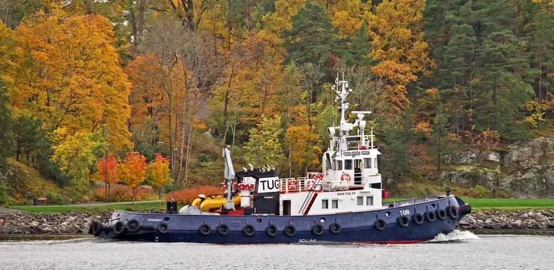 TUG General Cargo IMO 7349106 photo 4
