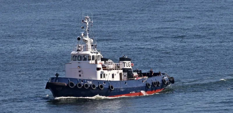 TUG General Cargo IMO 7349106 photo 5