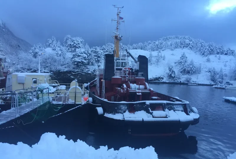 WATERMAN Tug Boat IMO 7349118