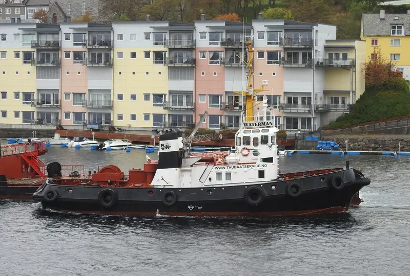 WATERMAN Tug Boat IMO 7349118 photo 8
