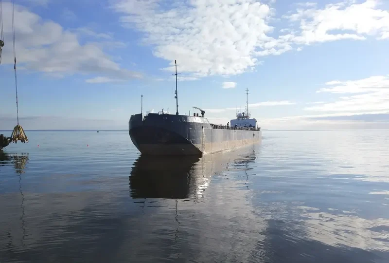 FORT General Cargo IMO 7349405 photo 2