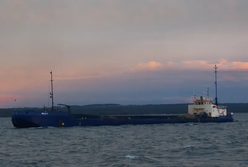 FORT General Cargo IMO 7349405 photo 5