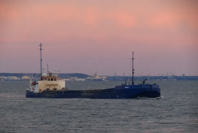 FORT General Cargo IMO 7349405 photo 6