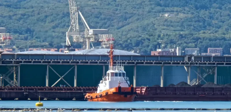 RASANT General Cargo IMO 7349821 photo 8